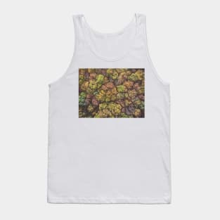 Aerial top down view of colorful autumn forest Tank Top